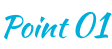 Point 01