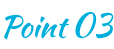 Point 03